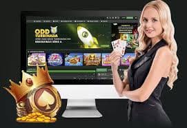 wild bet777